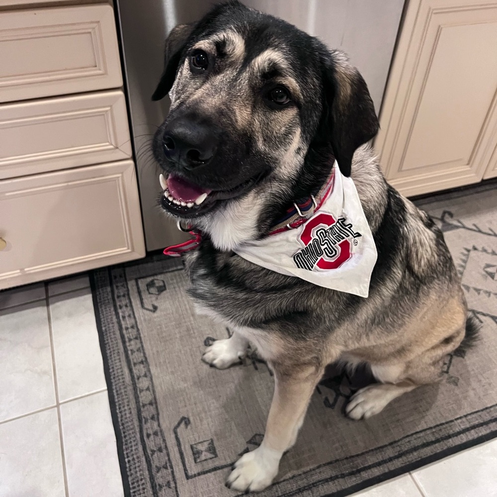 Meet your Posher, Genevieve